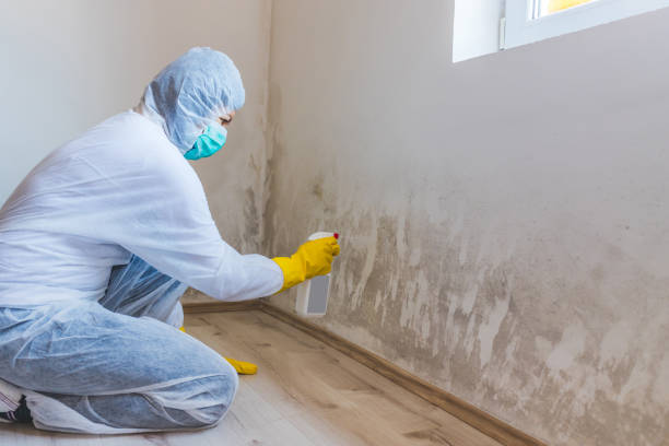 Licensed Mold Testing service in Waterford, VA - WQB Mold Removal