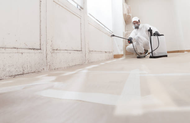 24/7 Emergency Mold Testing experts in Waterford, VA