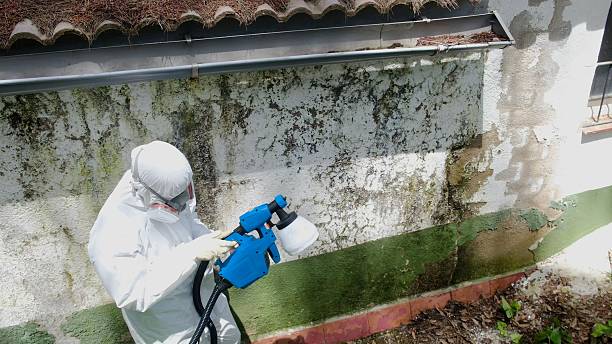Top rated local Mold Testing specialists in Waterford, VA